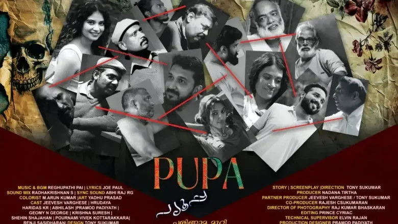 Pupa (2026)